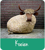 Koeien