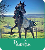 Paarden